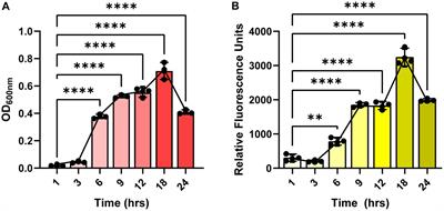 Bacterial metabolites influence the autofluorescence of Clostridioides difficile